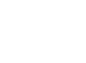 bl profile logo white x