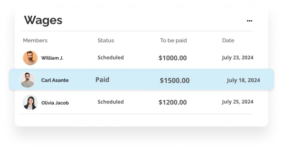 Insightful Payroll Monitoring​